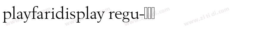 playfaridisplay regu字体转换